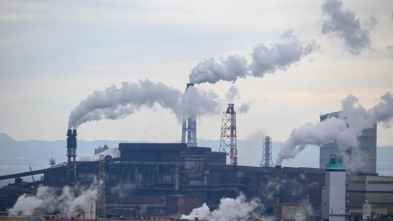 183146-slwvyqhkum-1669011999